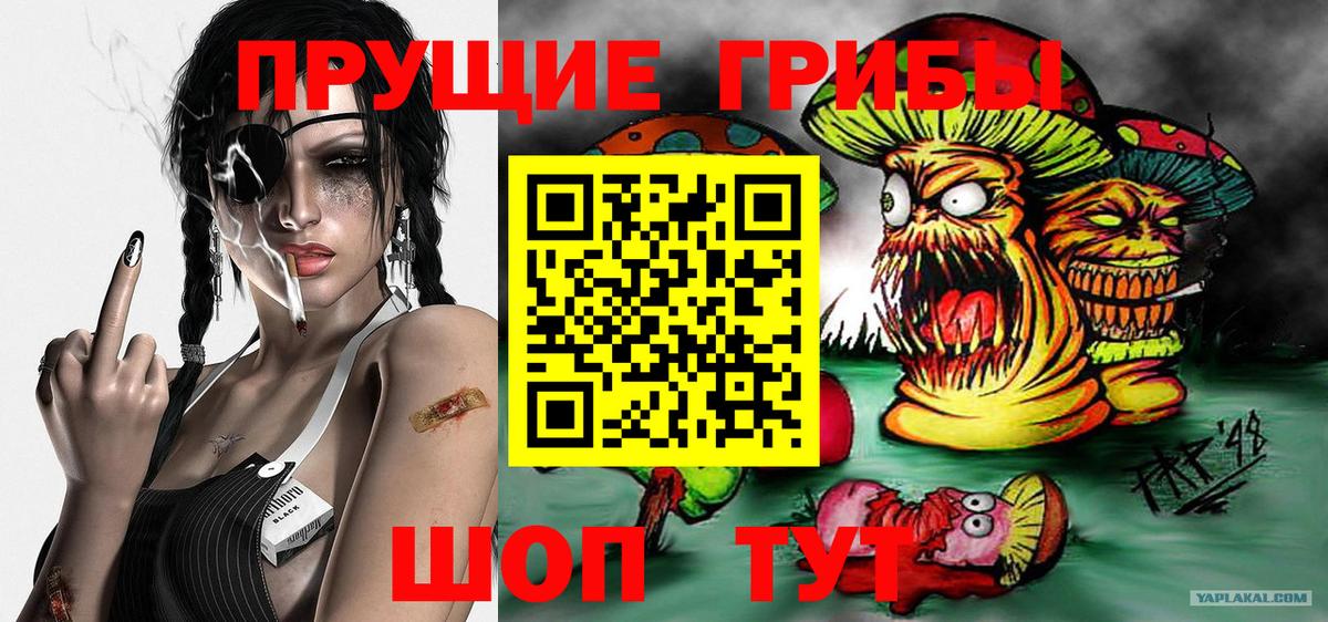 Галлюциногенные грибы MAGIC MUSHROOMS Новодвинск