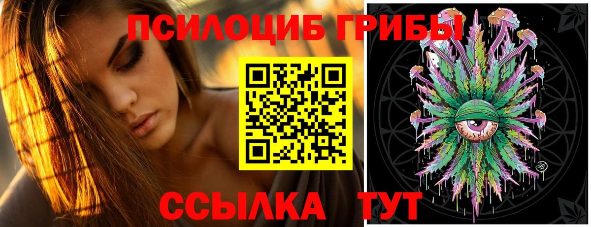 Псилоцибиновые грибы GOLDEN TEACHER  Вход с VPN  Новодвинск  Галлюциногенные грибы ЛСД 